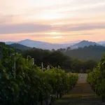 Podere Limeria Country Nelle Marche Дом отдыха *
