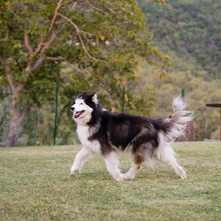 Podere Limeria Country Nelle Marche