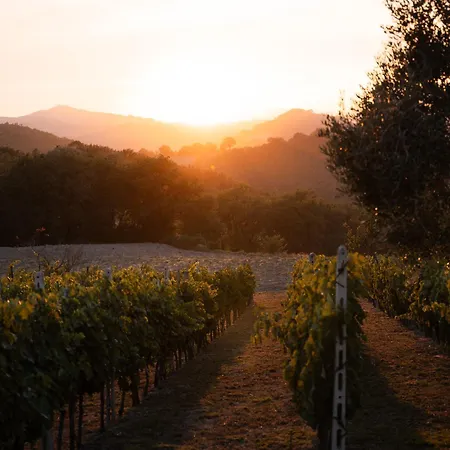 בית נופש Podere Limeria Country Nelle Marche *