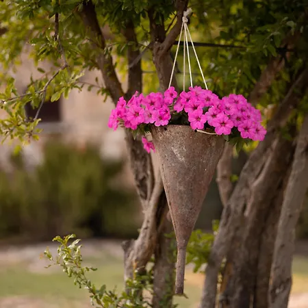 Podere Limeria Country Nelle Marche Fermignano