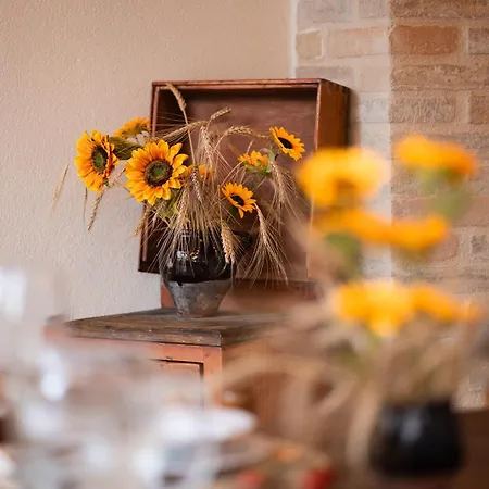 Podere Limeria Country Nelle Marche *